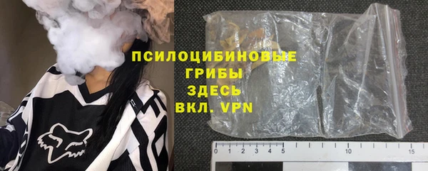 герыч Алексин