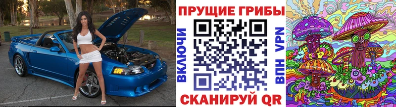 Галлюциногенные грибы GOLDEN TEACHER  наркотики  Алексеевка 